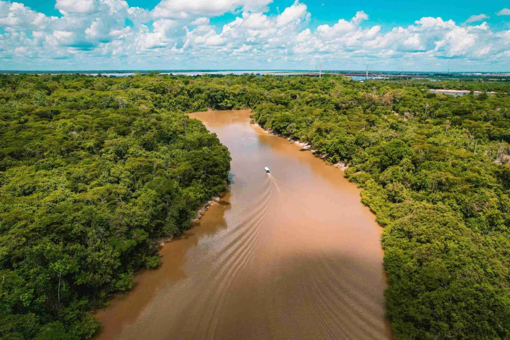 Aerial image of Amazon