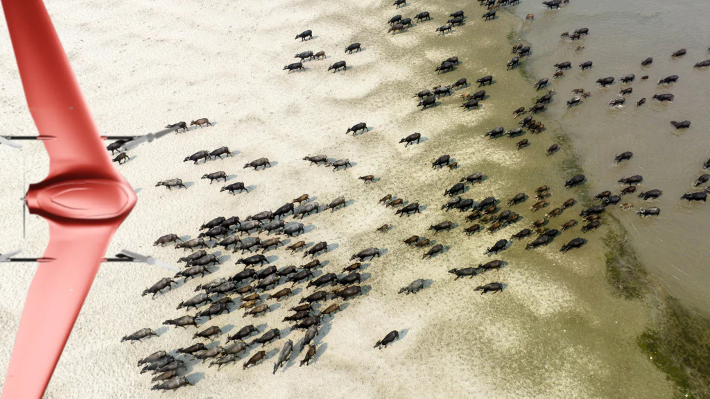 Image of drone conservation