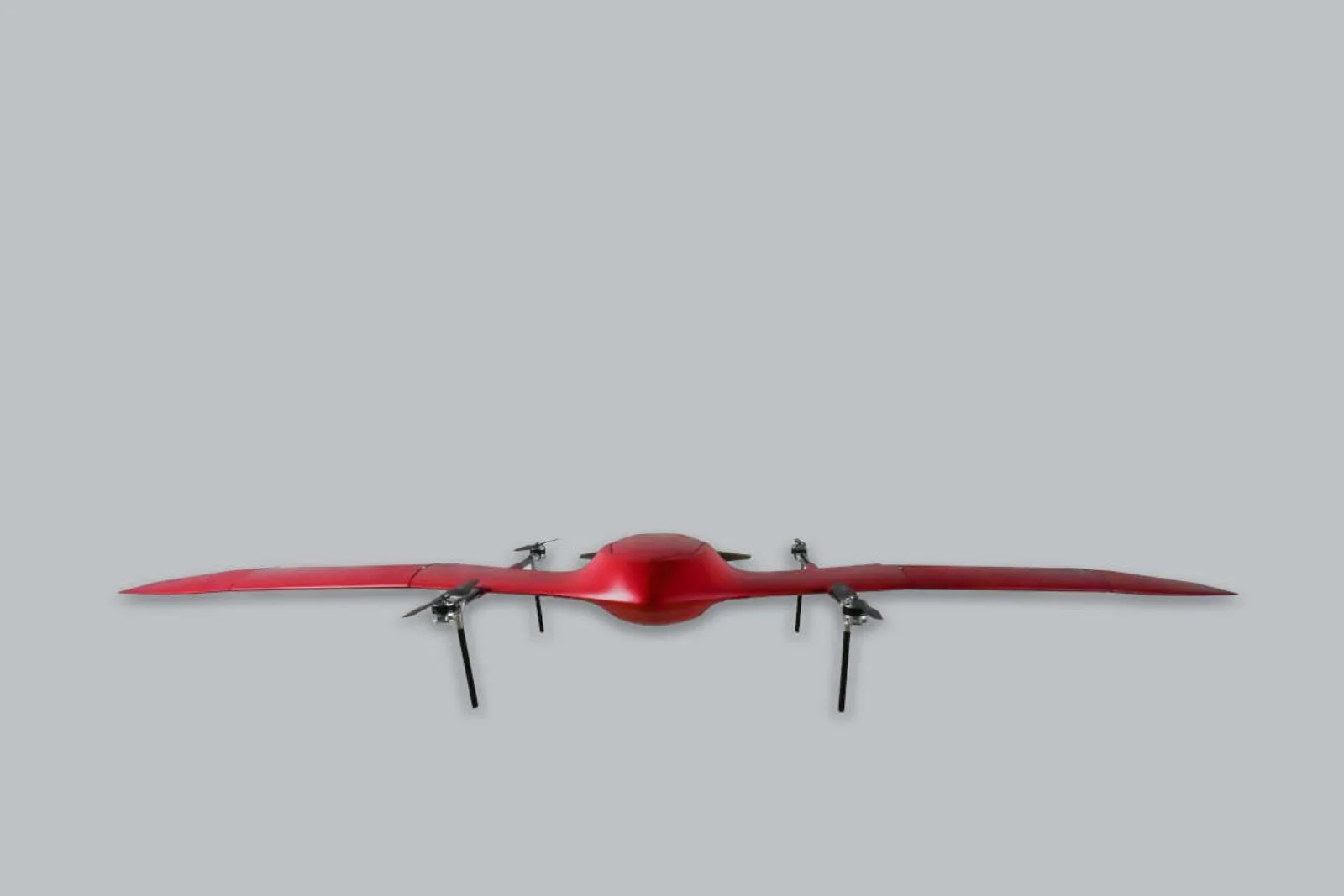 Nimbus head-on, wings extended, against a plain studio background